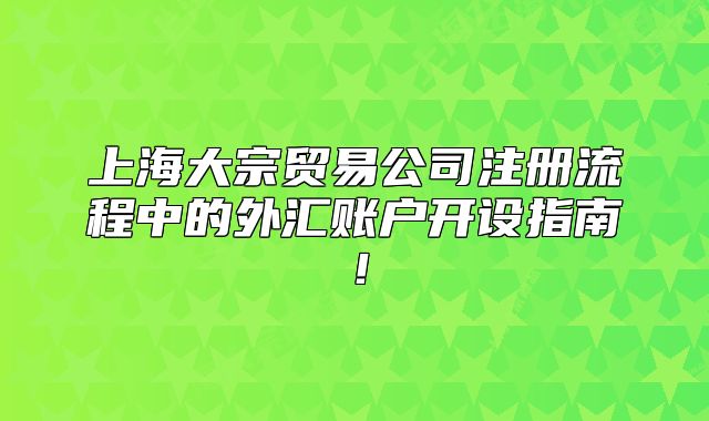 上海大宗贸易公司注册流程中的外汇账户开设指南！