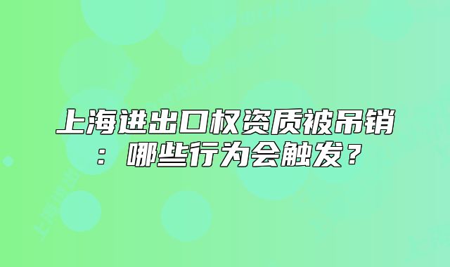 上海进出口权资质被吊销:哪些行为会触发?