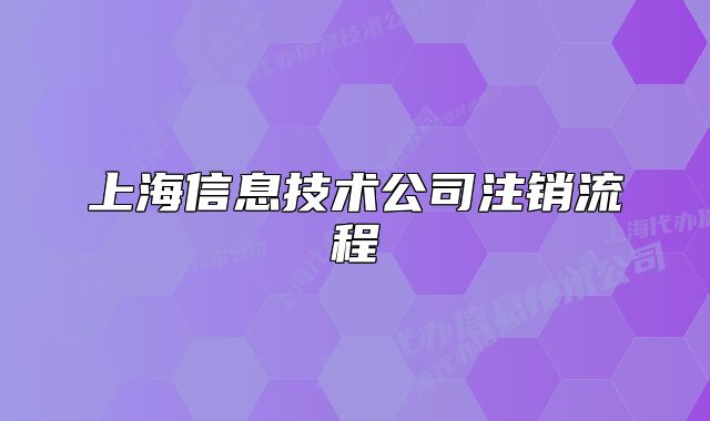 上海信息技术公司注销流程