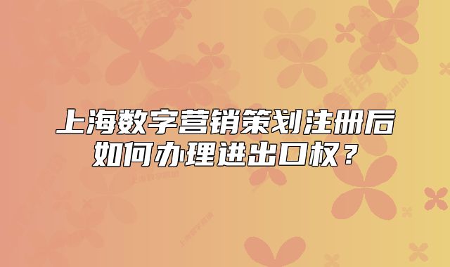 上海数字营销策划注册后如何办理进出口权?