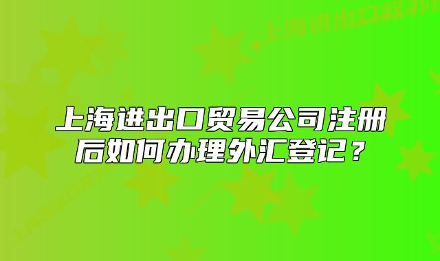 上海进出口贸易公司注册后如何办理外汇登记?
