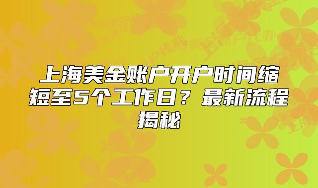 上海美金账户开户时间缩短至5个工作日？最新流程揭秘