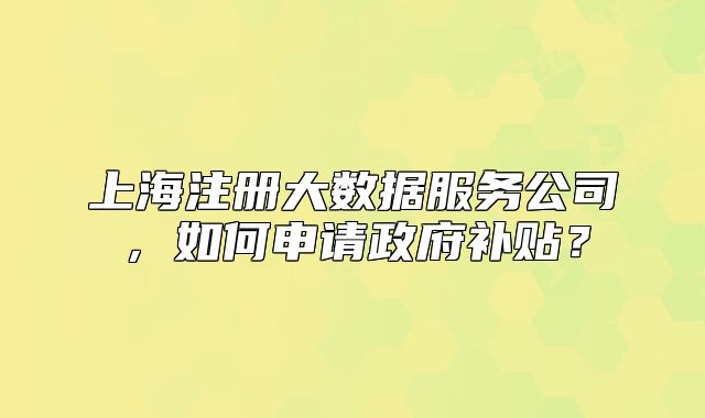 上海注册大数据服务公司,如何申请政府补贴?