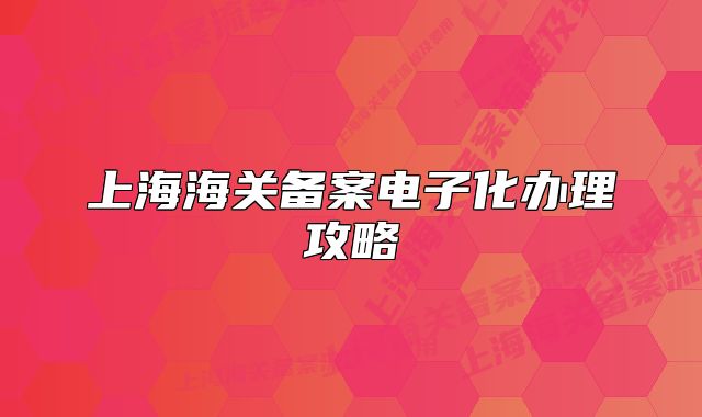 上海海关备案电子化办理攻略
