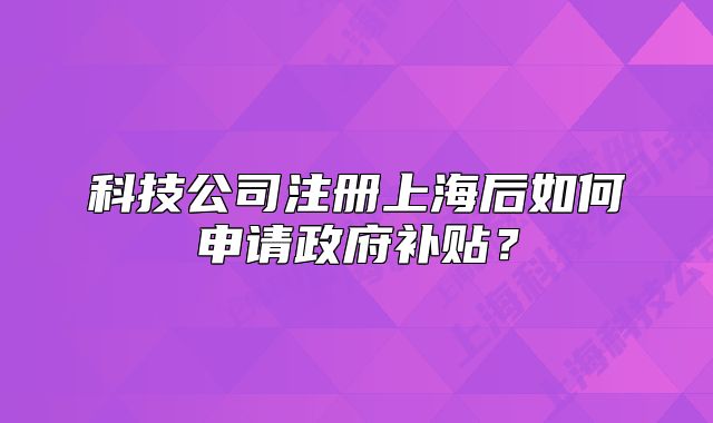 科技公司注册上海后如何申请政府补贴?
