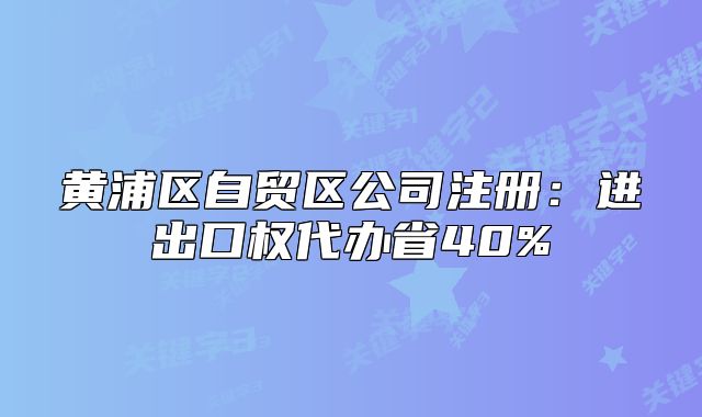黄浦区自贸区公司注册:进出口权代办省40%