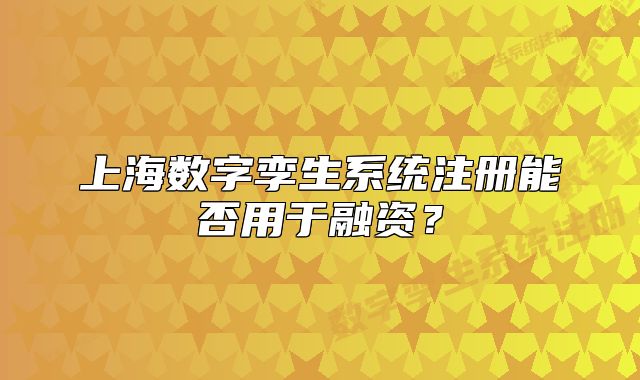 上海数字孪生系统注册能否用于融资？