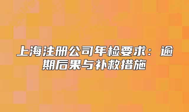 上海注册公司年检要求:逾期后果与补救措施