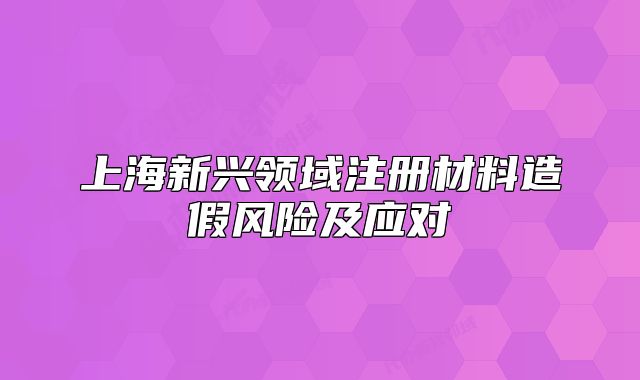 上海新兴领域注册材料造假风险及应对