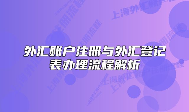 外汇账户注册与外汇登记表办理流程解析