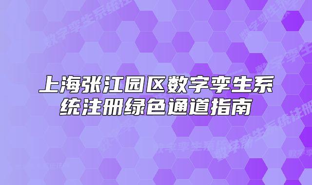 上海张江园区数字孪生系统注册绿色通道指南
