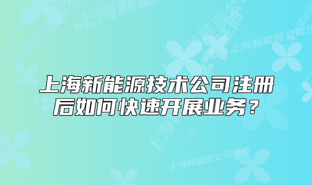 上海新能源技术公司注册后如何快速开展业务？