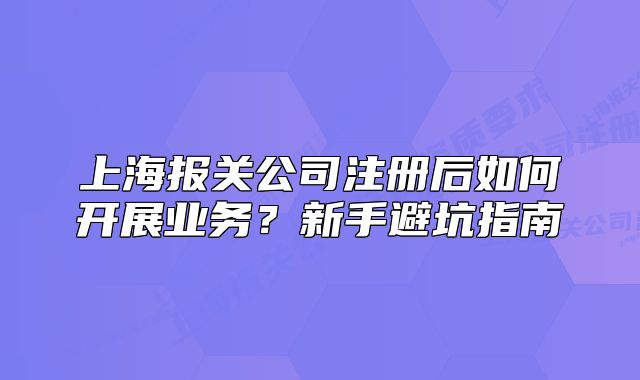 上海报关公司注册后如何开展业务?新手避坑指南