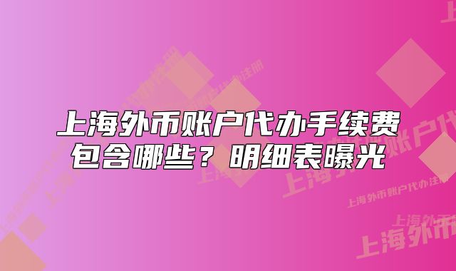 上海外币账户代办手续费包含哪些？明细表曝光