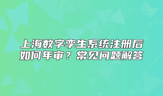 上海数字孪生系统注册后如何年审？常见问题解答