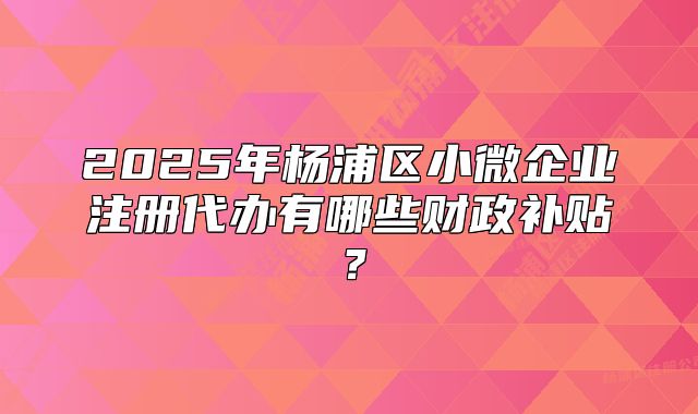 2025年杨浦区小微企业注册代办有哪些财政补贴?