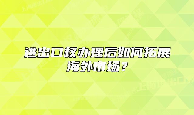 进出口权办理后如何拓展海外市场?