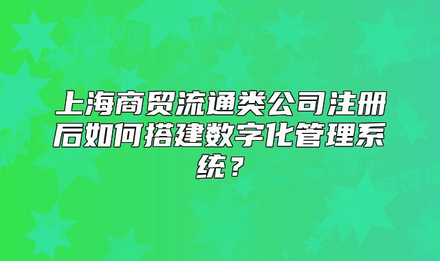 上海商贸流通类公司注册后如何搭建数字化管理系统?