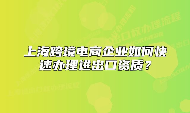 上海跨境电商企业如何快速办理进出口资质?