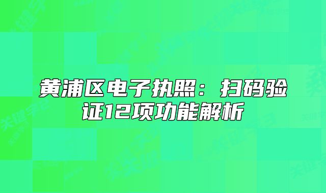 黄浦区电子执照：扫码验证12项功能解析