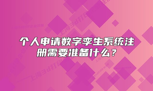 个人申请数字孪生系统注册需要准备什么?