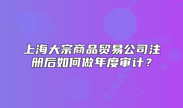 上海大宗商品贸易公司注册后如何做年度审计？