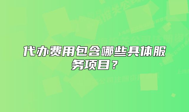 代办费用包含哪些具体服务项目?