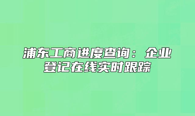 浦东工商进度查询：企业登记在线实时跟踪