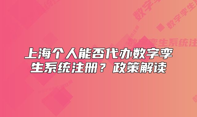 上海个人能否代办数字孪生系统注册?政策解读