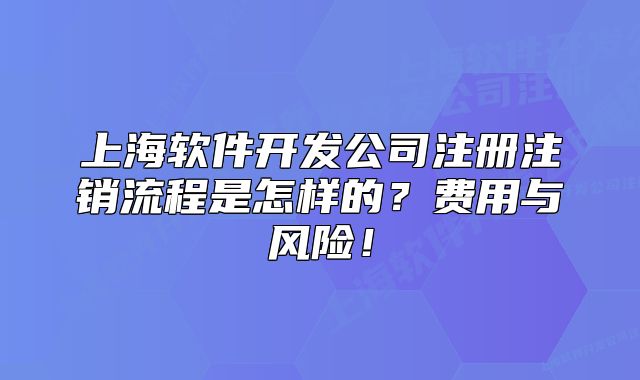 上海软件开发公司注册注销流程是怎样的？费用与风险！