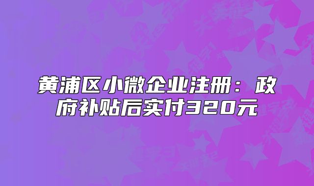 黄浦区小微企业注册:政府补贴后实付320元