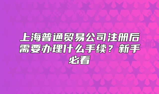 上海普通贸易公司注册后需要办理什么手续?新手必看