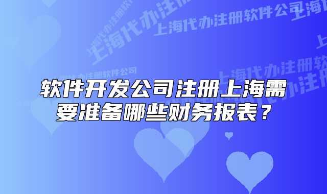 软件开发公司注册上海需要准备哪些财务报表?