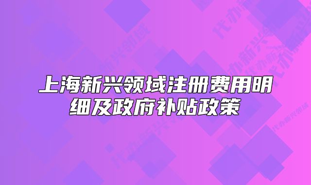 上海新兴领域注册费用明细及政府补贴政策