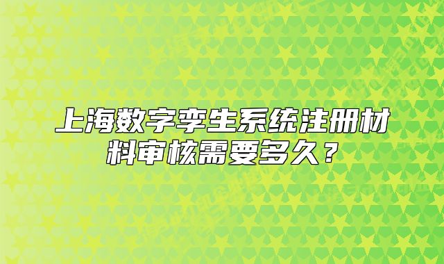 上海数字孪生系统注册材料审核需要多久？