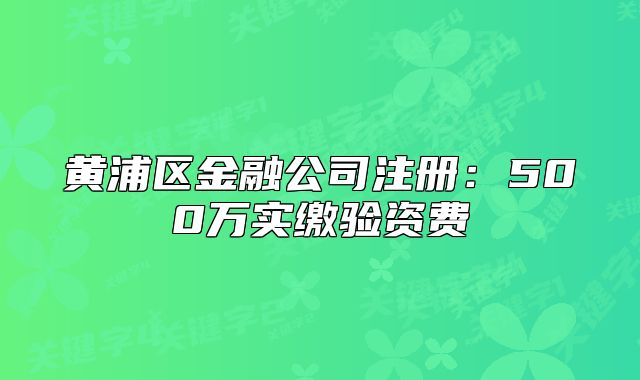 黄浦区金融公司注册：500万实缴验资费