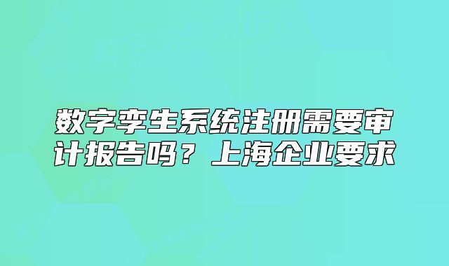 数字孪生系统注册需要审计报告吗?上海企业要求