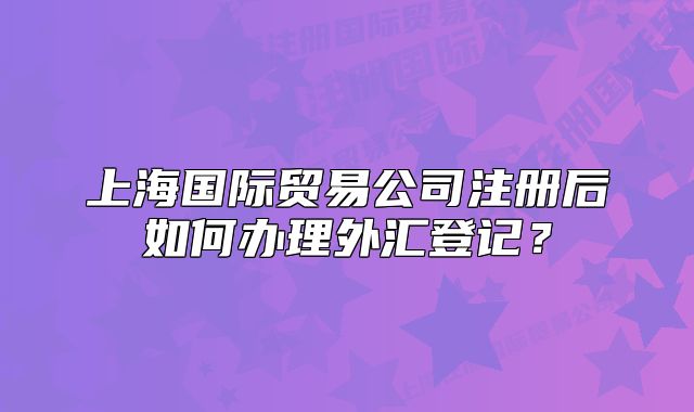 上海国际贸易公司注册后如何办理外汇登记？