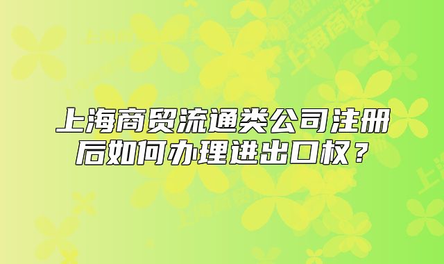 上海商贸流通类公司注册后如何办理进出口权?