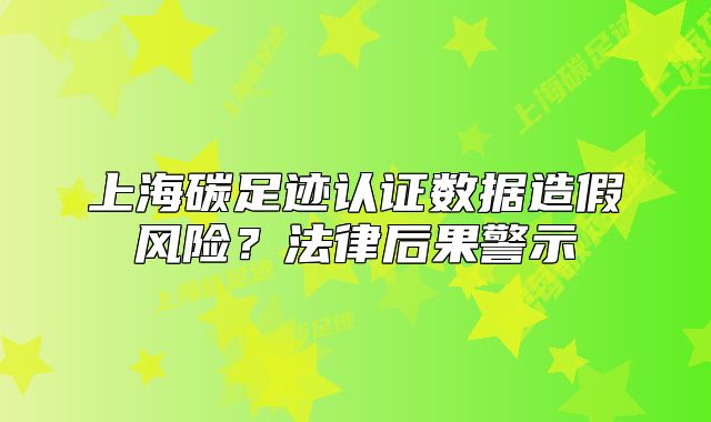 上海碳足迹认证数据造假风险?法律后果警示