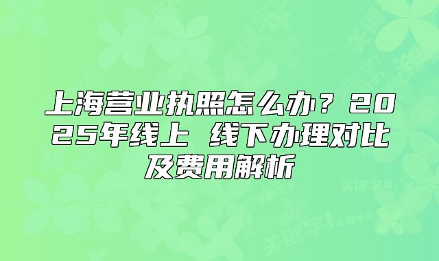 上海营业执照怎么办?2025年线上 线下办理对比及费用解析
