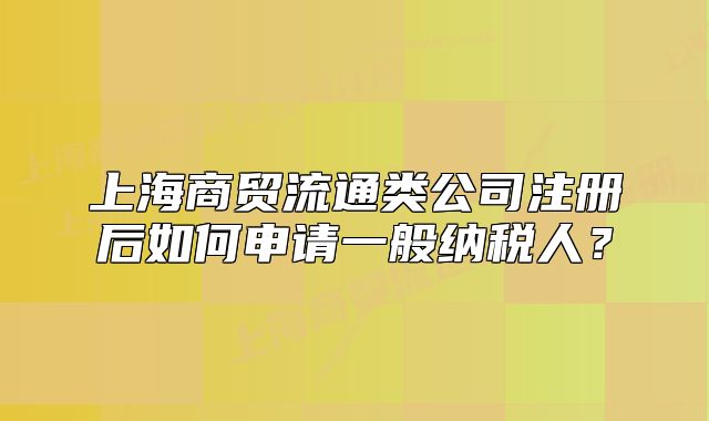 上海商贸流通类公司注册后如何申请一般纳税人?