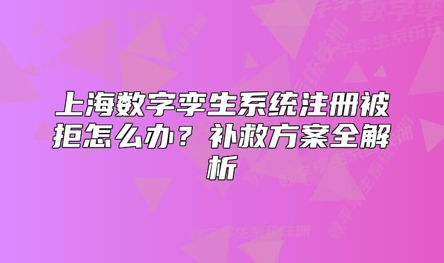 上海数字孪生系统注册被拒怎么办？补救方案全解析
