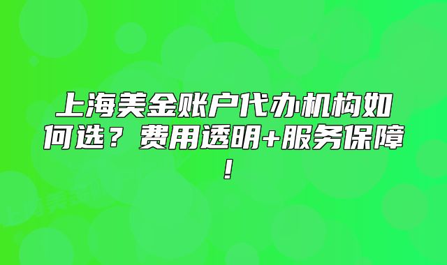 上海美金账户代办机构如何选?费用透明+服务保障!