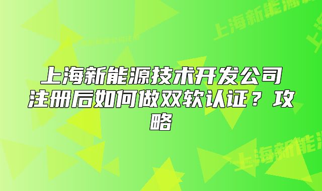 上海新能源技术开发公司注册后如何做双软认证?攻略