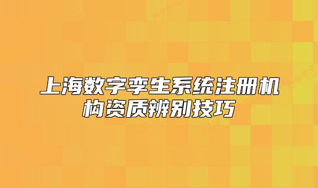 上海数字孪生系统注册机构资质辨别技巧
