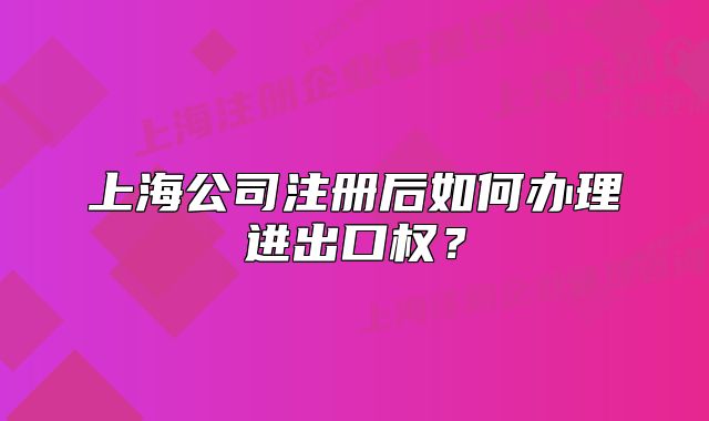上海公司注册后如何办理进出口权？