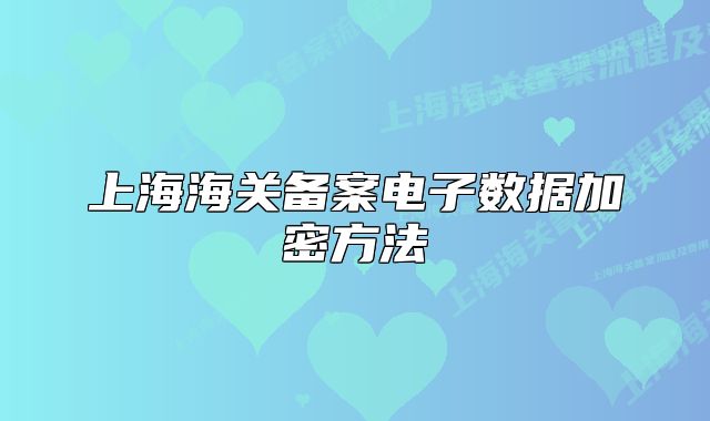 上海海关备案电子数据加密方法