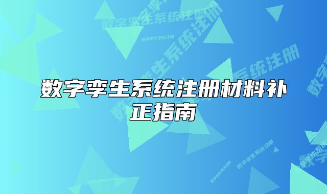 数字孪生系统注册材料补正指南