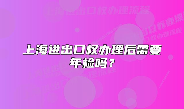 上海进出口权办理后需要年检吗？